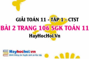 Giải bài 2 trang 106 Toán 11 tập 1 SGK Chân trời sáng tạo